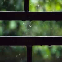 Textes et brouillons